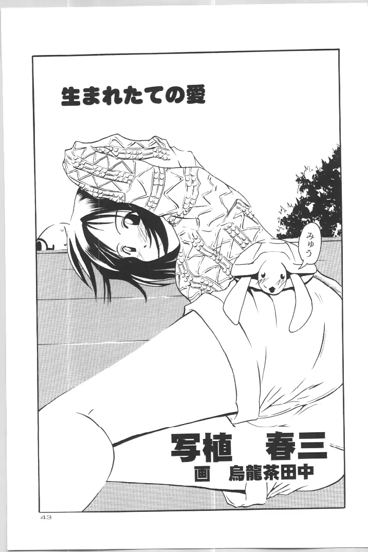 (C57) [Gold Rush (鈴木あどれす)] ~Wall~ (エクセルサーガ、ラブひな) [ページ欠落] - page41