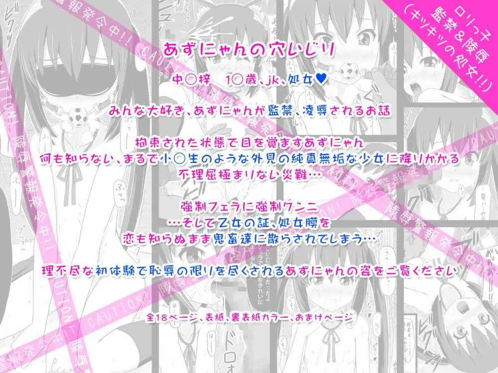 少女達の絶望 奪われたヒロイン達の純潔… - page5