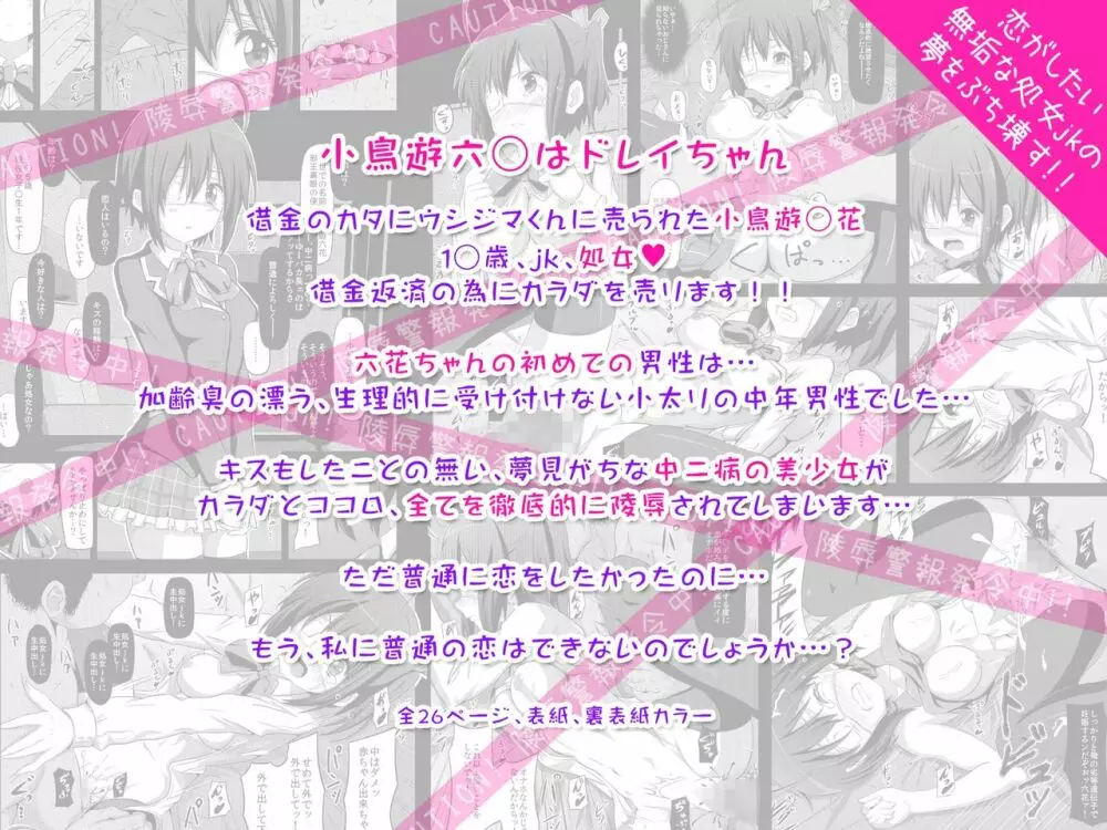 少女達の絶望 奪われたヒロイン達の純潔… - page9