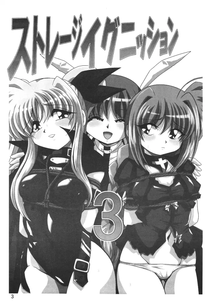 ストレージイグニッション 3 - page3