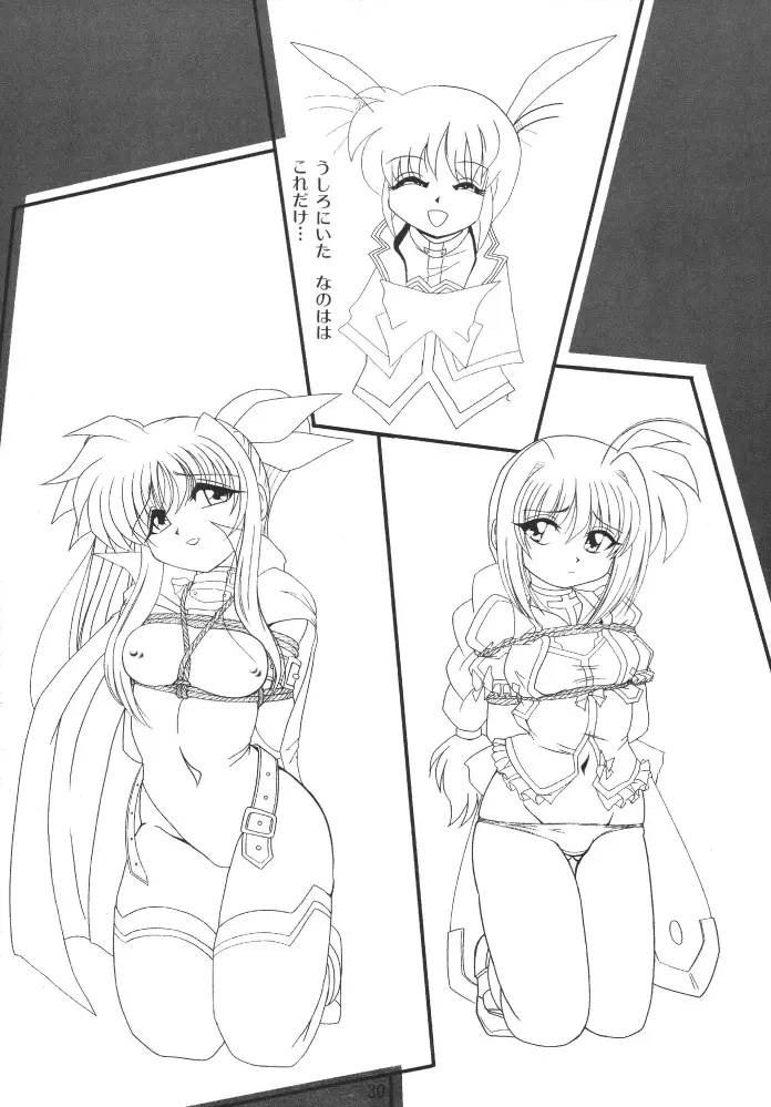 ストレージイグニッション 3 - page30
