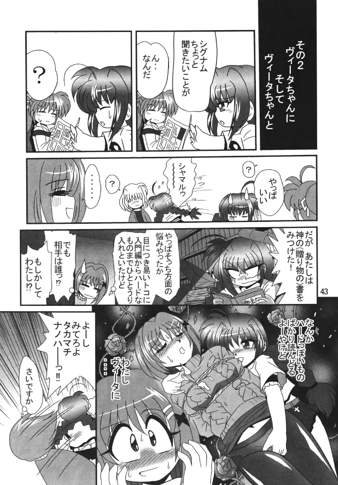 ストレージイグニッション 2 - page43