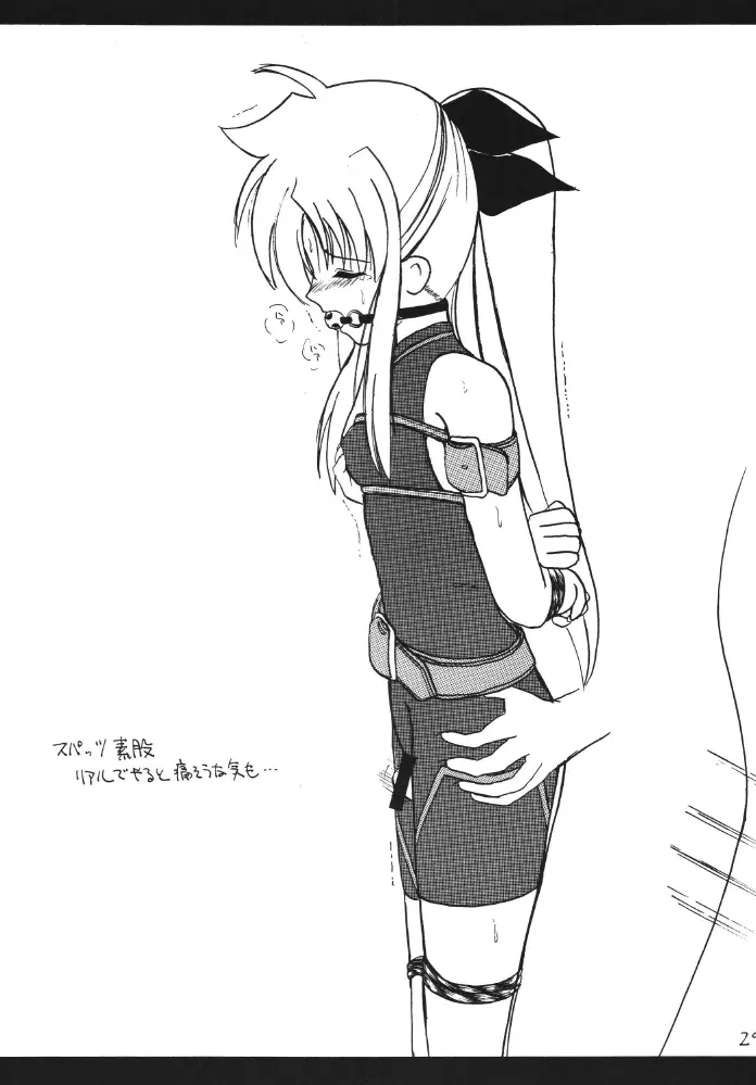 ストレージイグニッション - page29