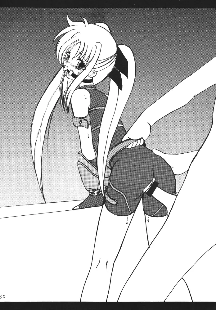 ストレージイグニッション - page30