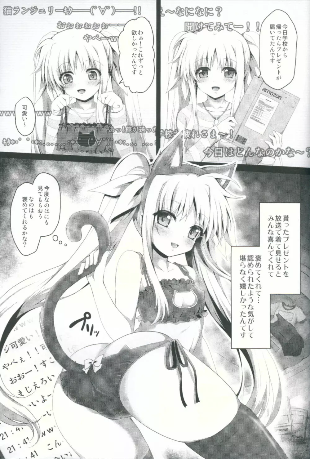 ●コ生主フェイトちゃん恥辱の生放送 - page6