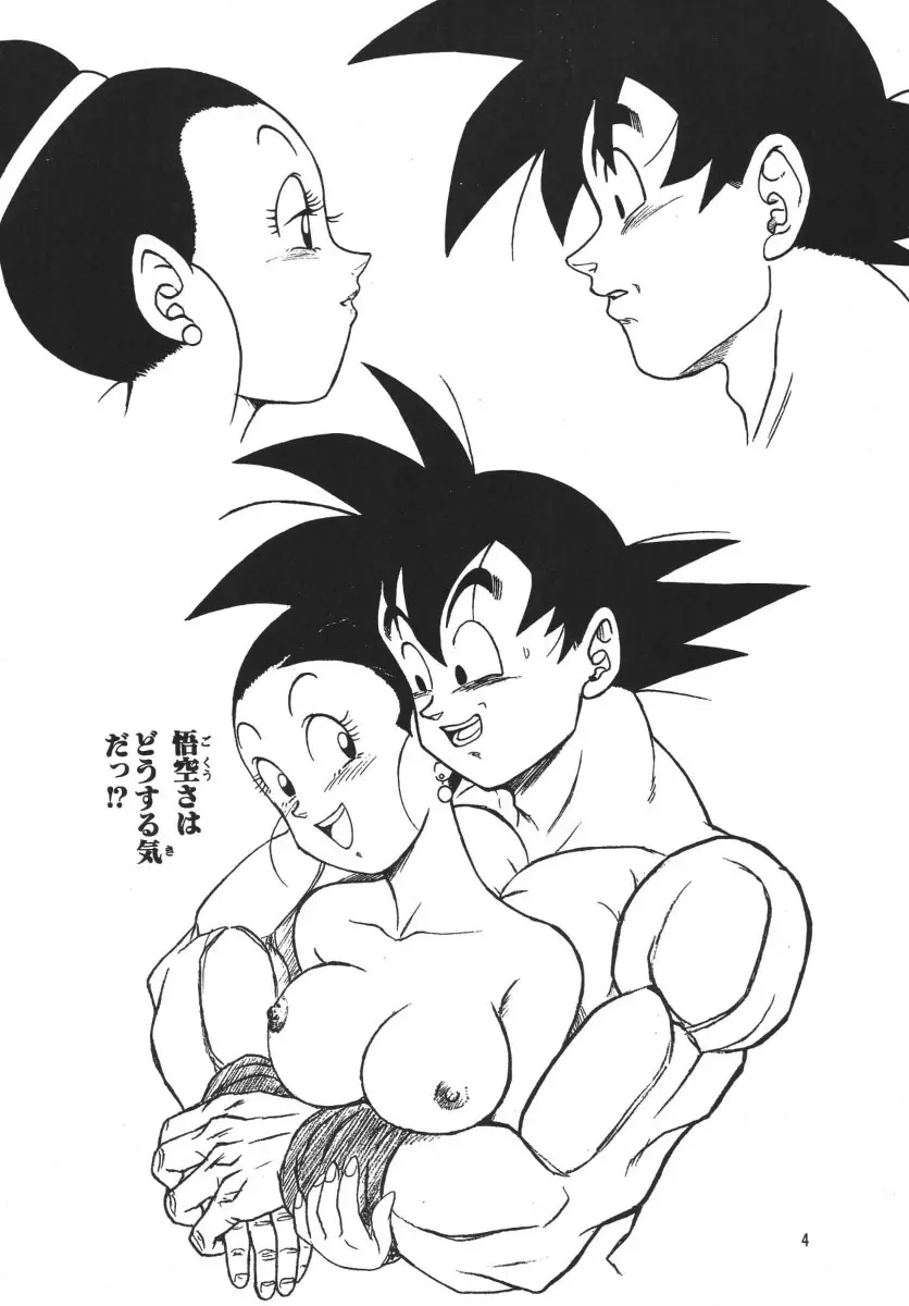 ドラゴンボールH 別巻 - page3