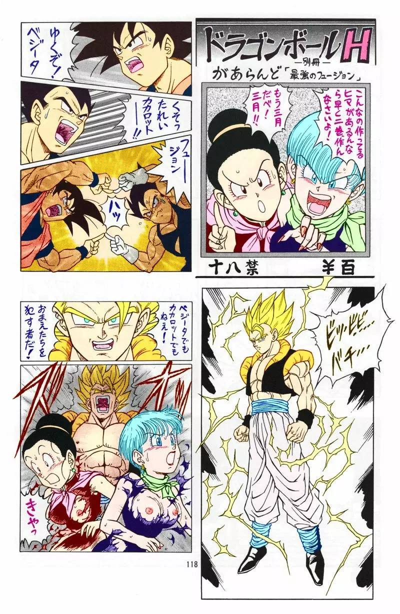 ドラゴンボール H 総集編 - page117