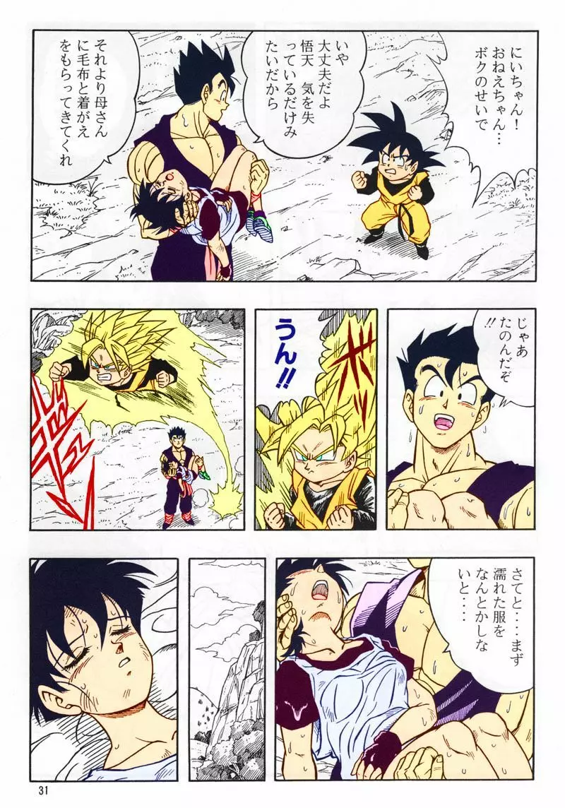 ドラゴンボール H 総集編 - page30