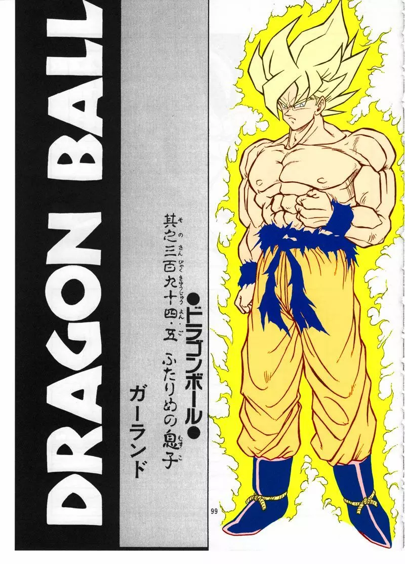 ドラゴンボール H 総集編 - page98