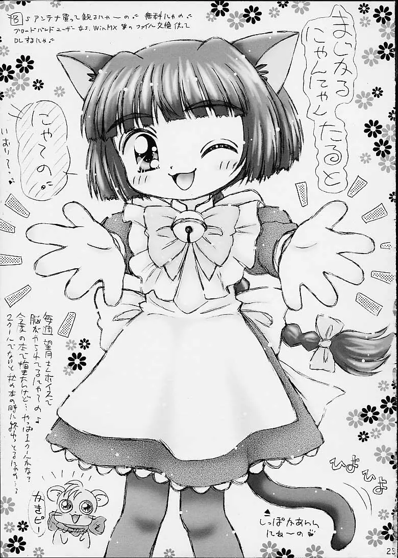 スターどっぴゅり秘報告 - page20