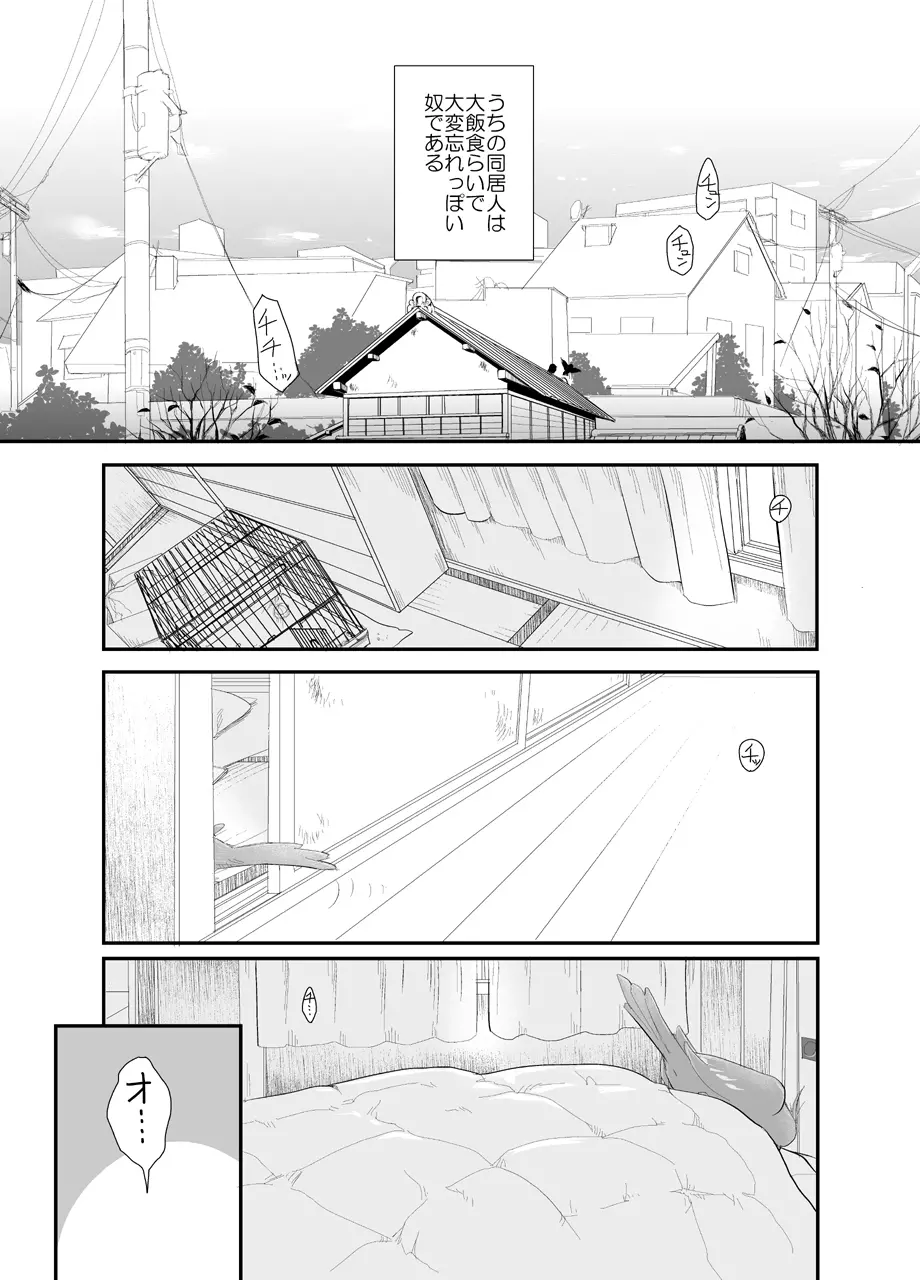 20161231 - page3