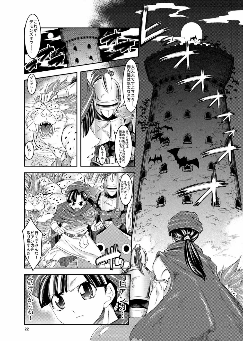 メダパニクエスト ビアンカ編 - page22