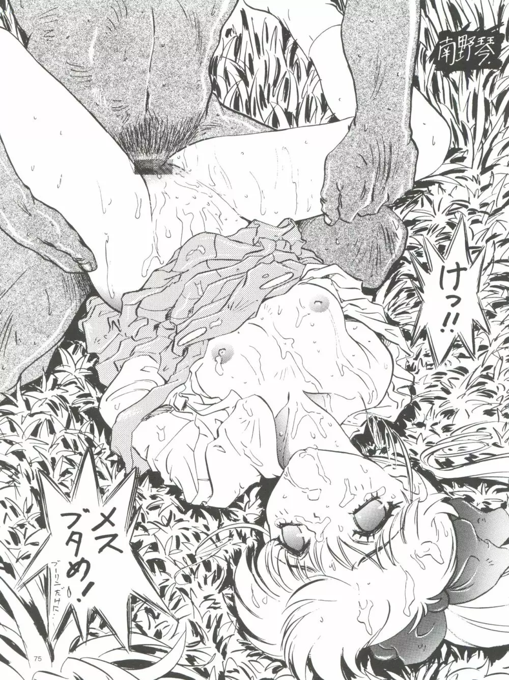 わんぱくアニメ大百科 南野琴自選集 Vol.1 - page77
