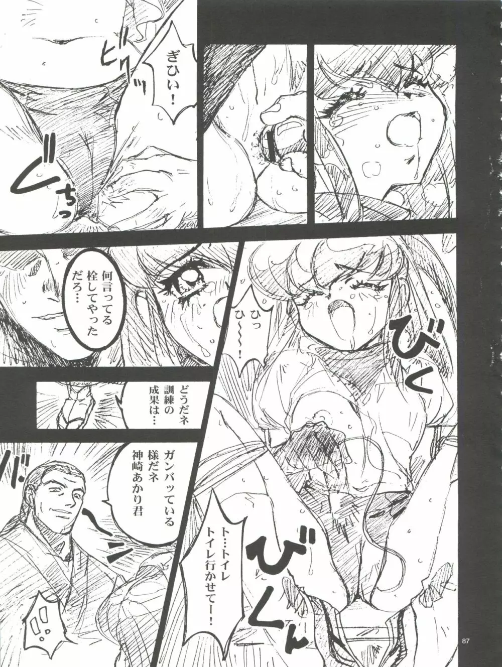 わんぱくアニメ大百科 南野琴自選集 Vol.1 - page89