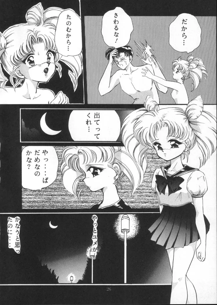月夜のたわむれ Vol.4 - page24