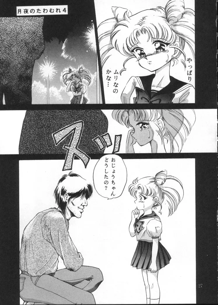 月夜のたわむれ Vol.4 - page25