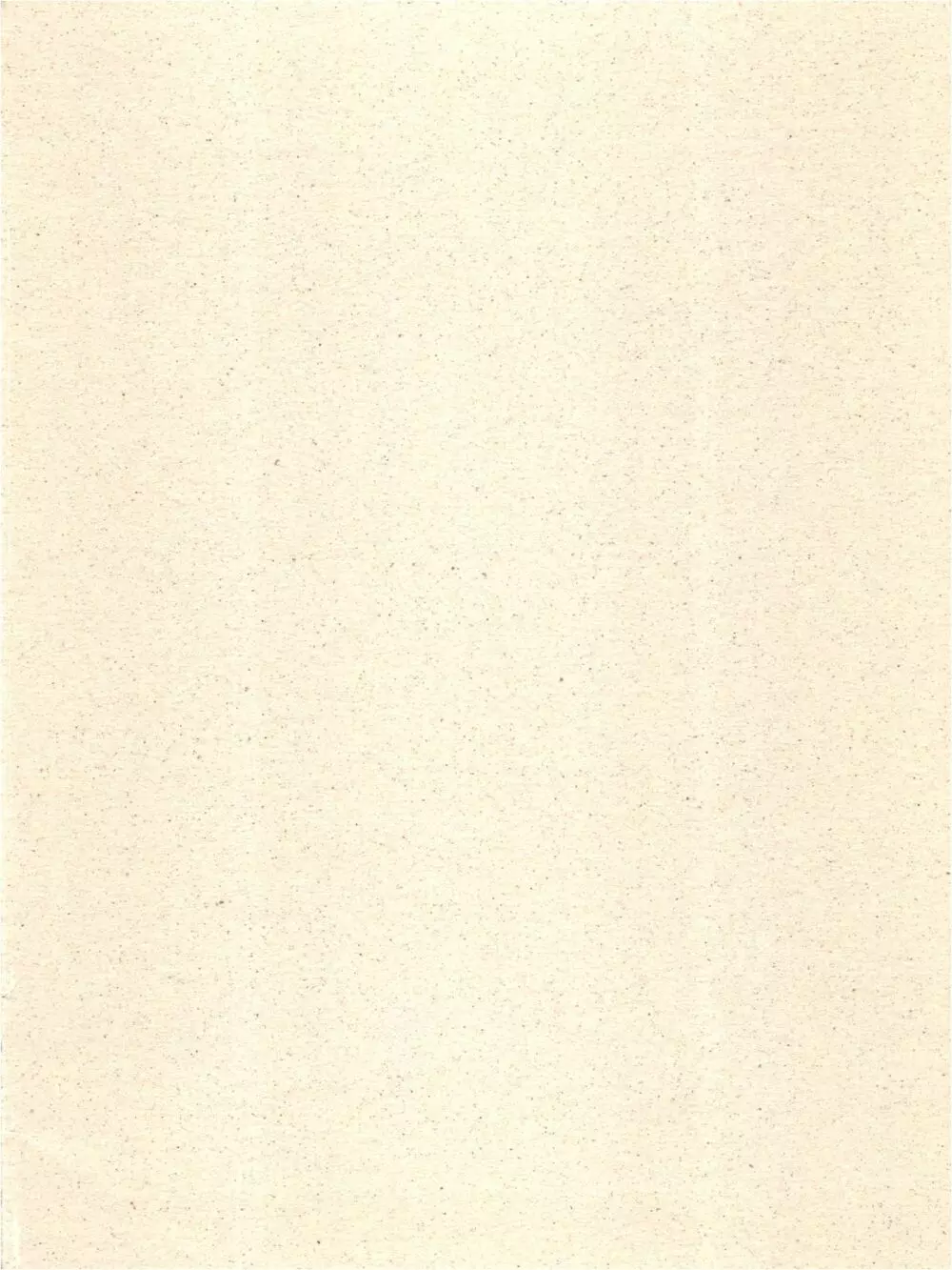 こんなにカラくてインカ帝国 Vol.4 - page2