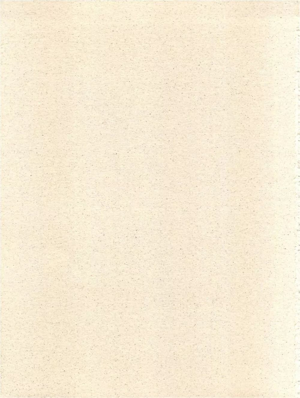 こんなにカラくてインカ帝国 Vol.4 - page35