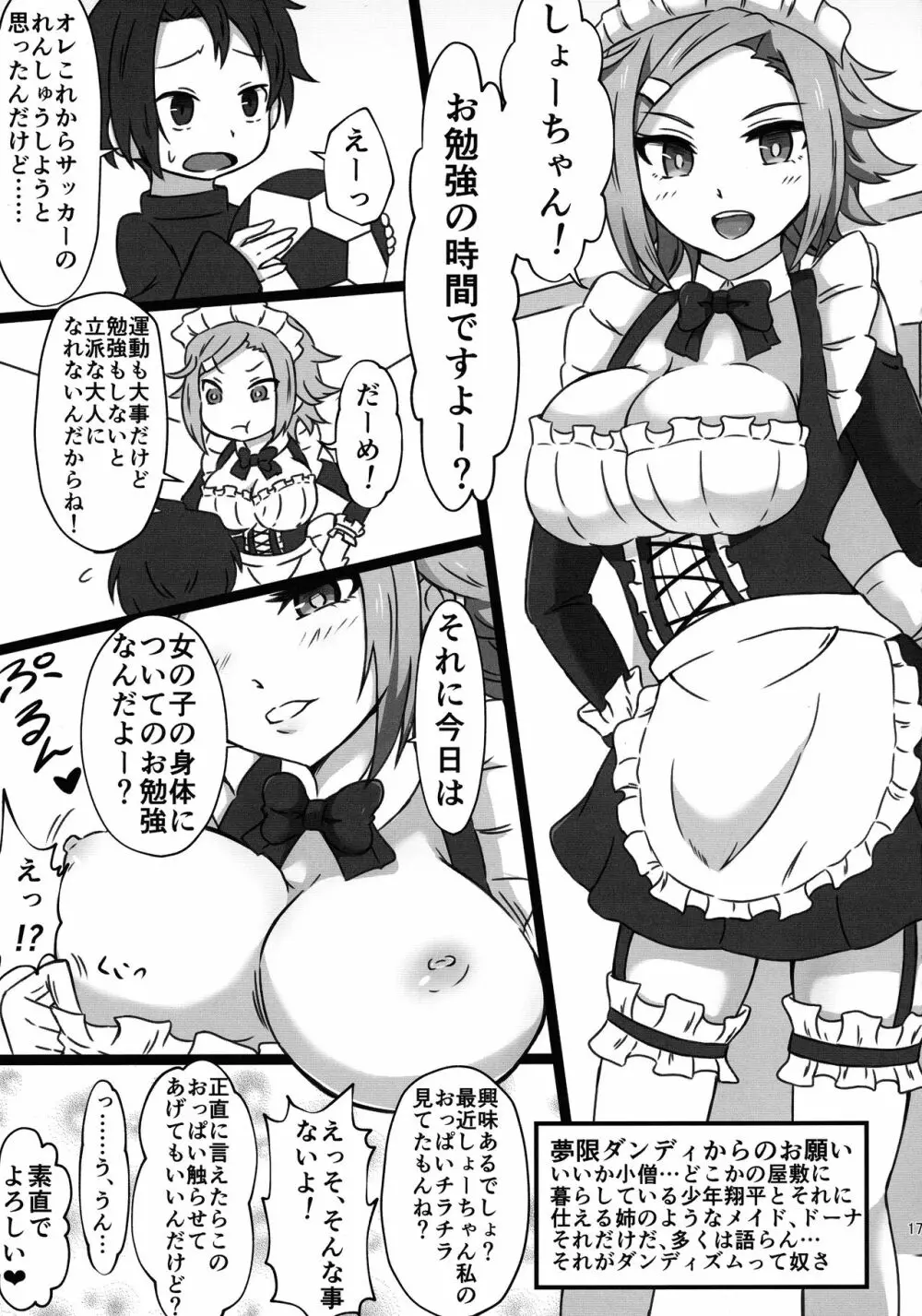 ルリグ研究日誌2017夏号 - page17