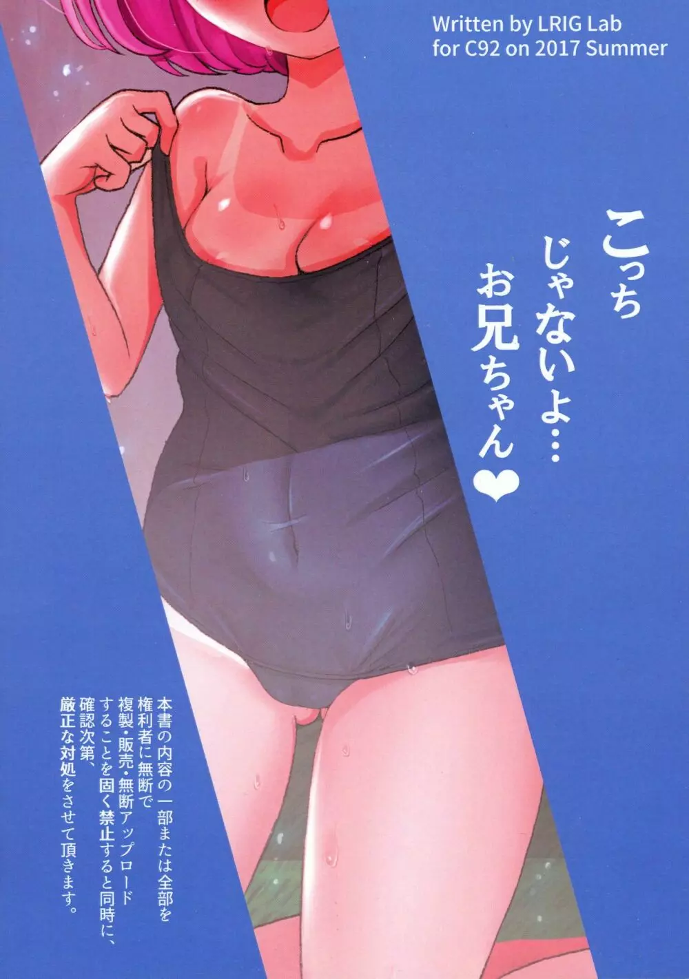 ルリグ研究日誌2017夏号 - page2
