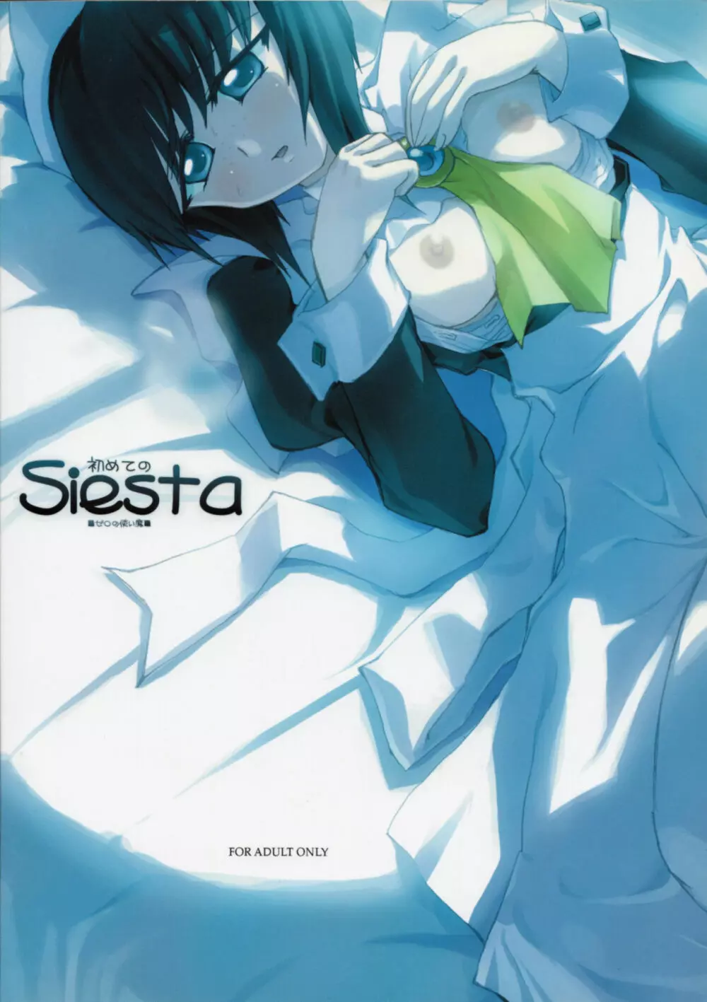 初めてのSiesta - page26