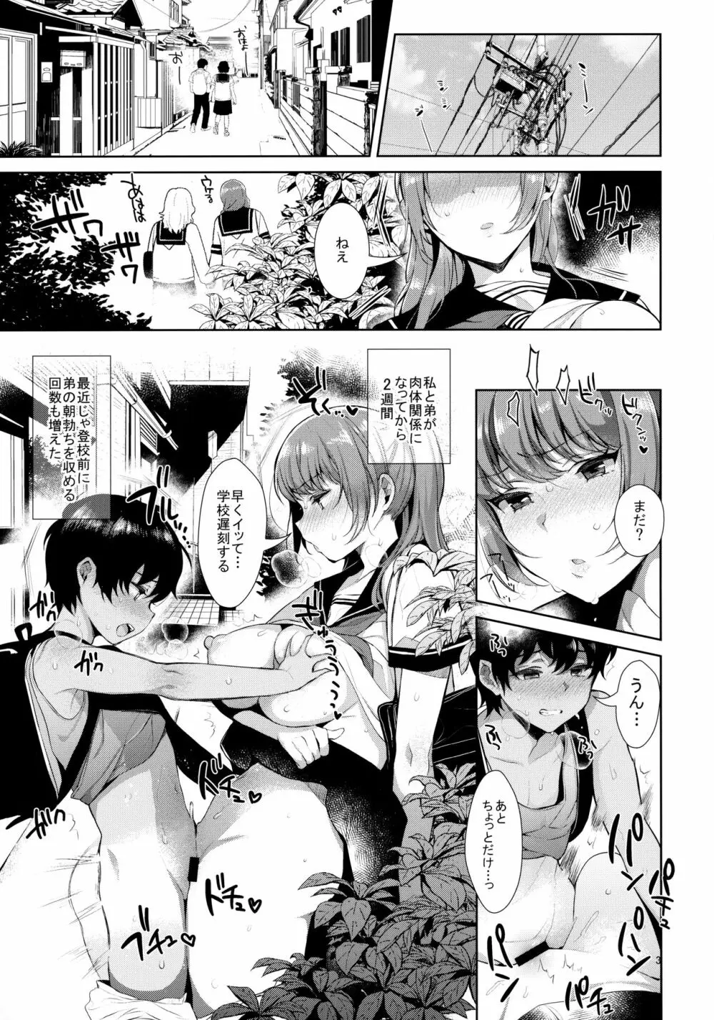 姉弟における性交渉の記録 - page4