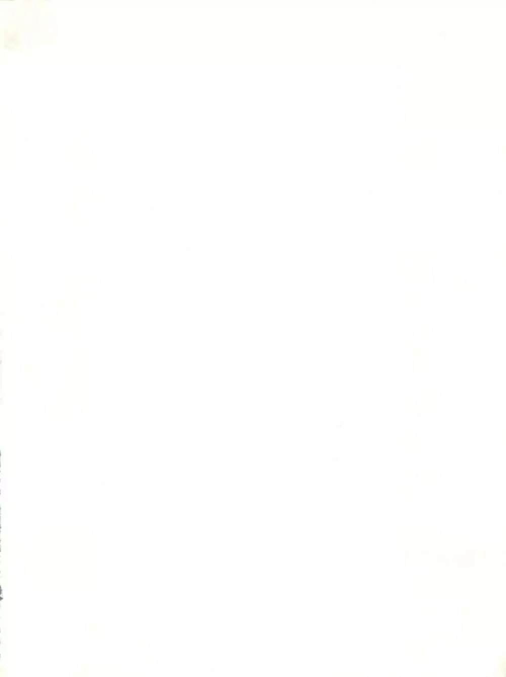 とろろいも伝説 天の巻 - page4