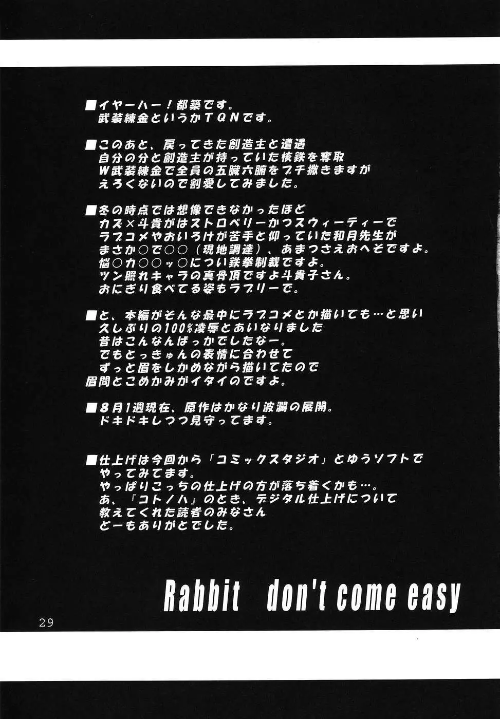 鋼鉄乙女 - page28