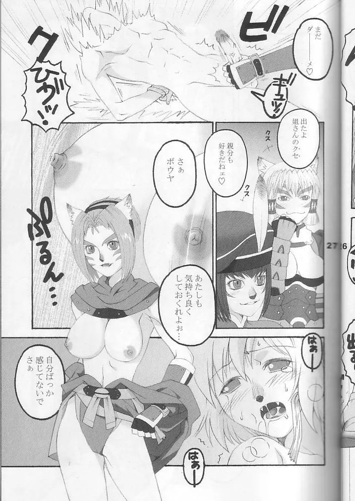 ミスラを愛でる本3+1 - page27