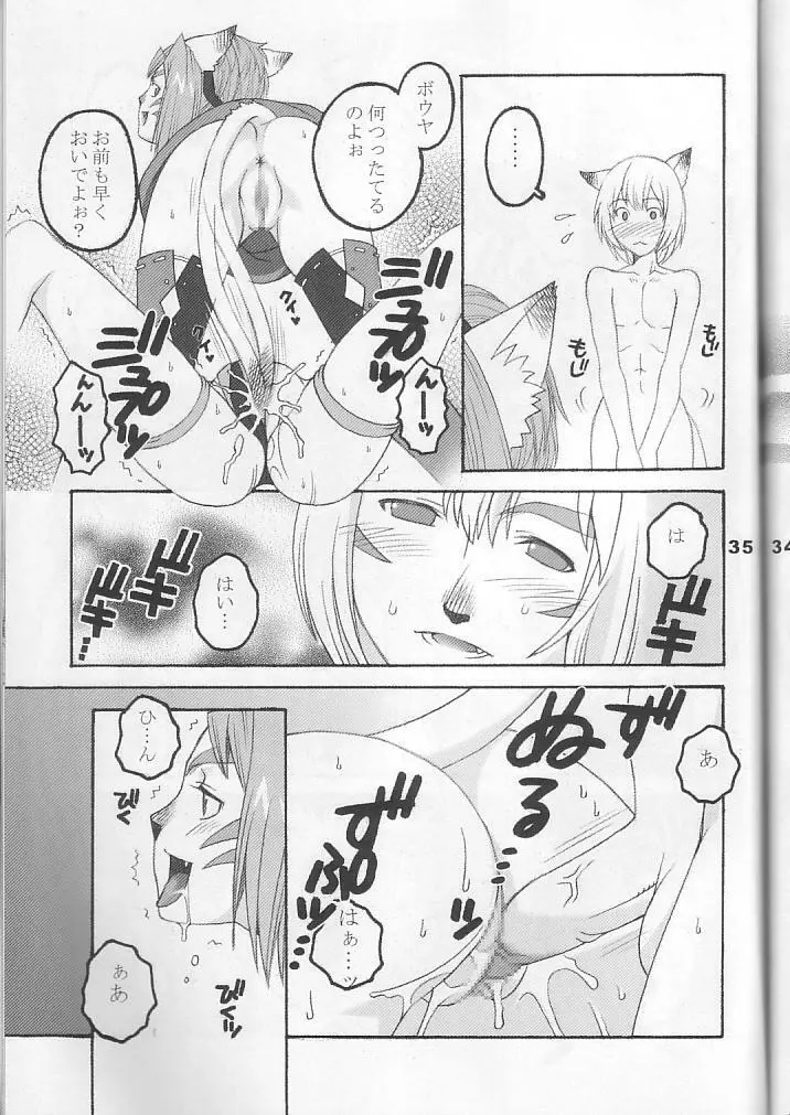 ミスラを愛でる本3+1 - page35