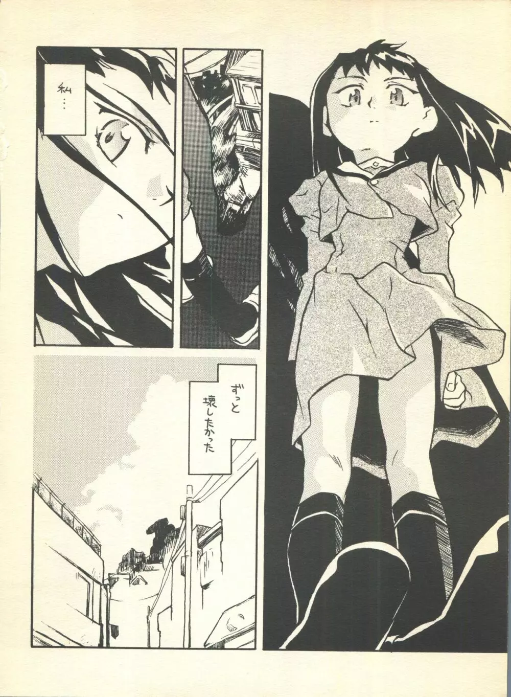 NEOER 2010 - page25