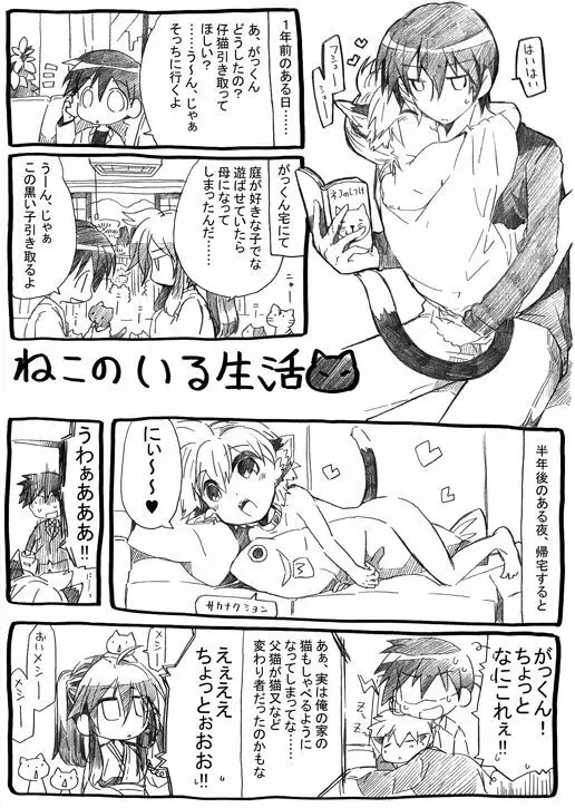 にゃんこのいる生活 - page3