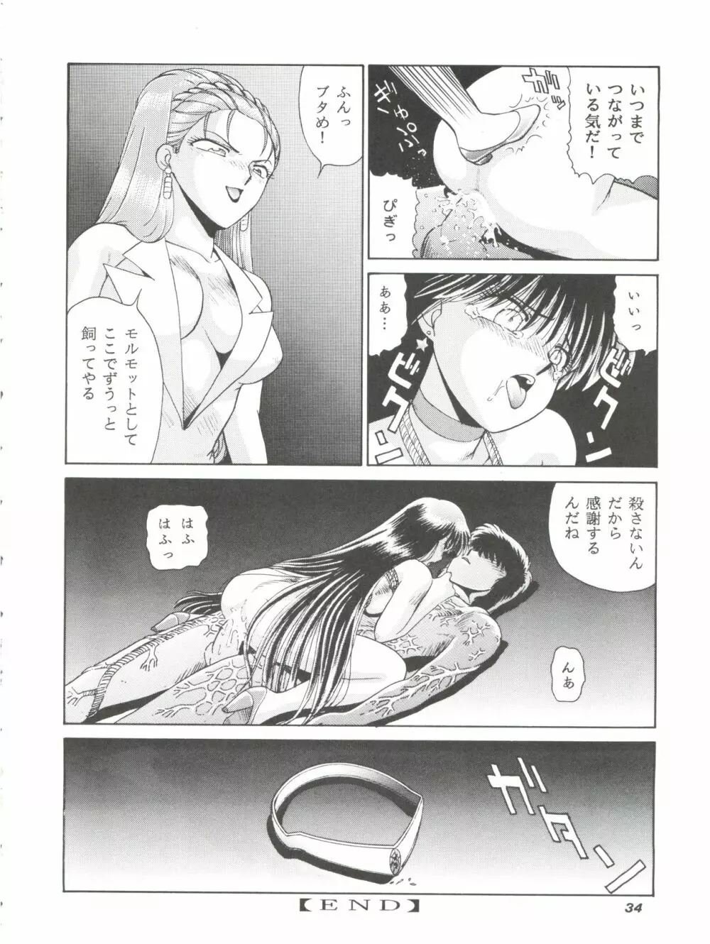 縄縛麗嬢 4 - page33