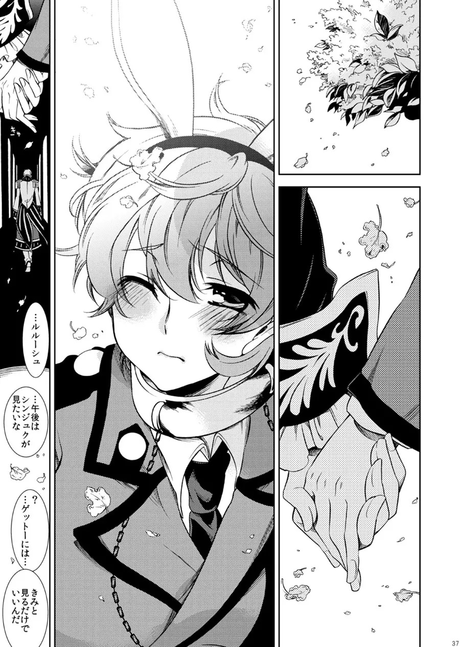 ドロッセルマイヤーの宝石箱 - page36