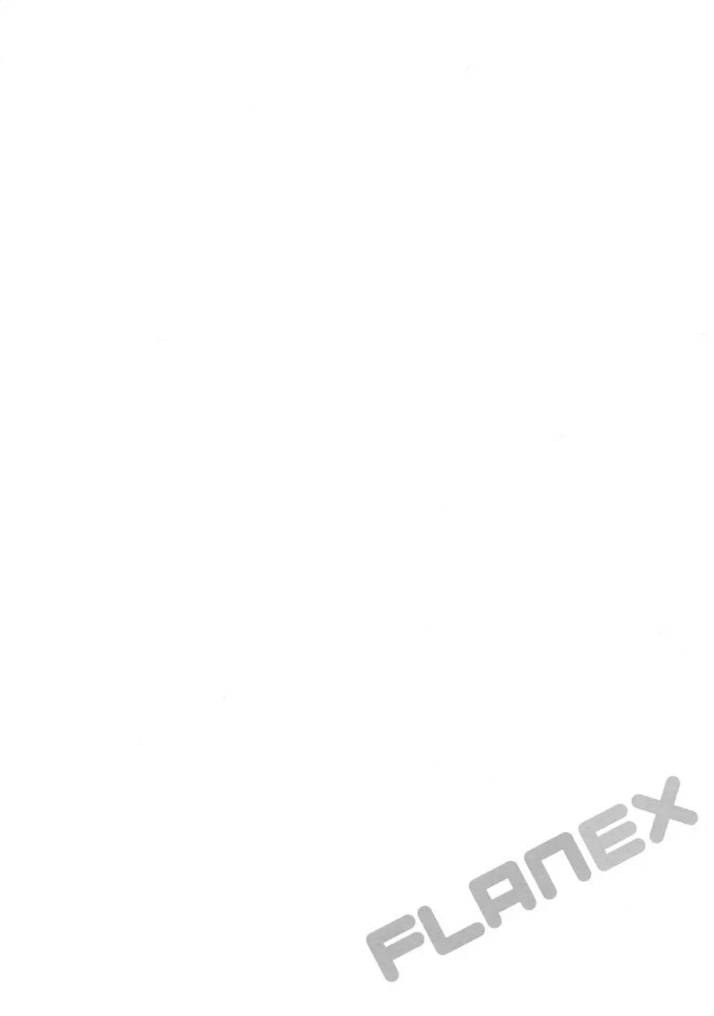 FLANEX - page3