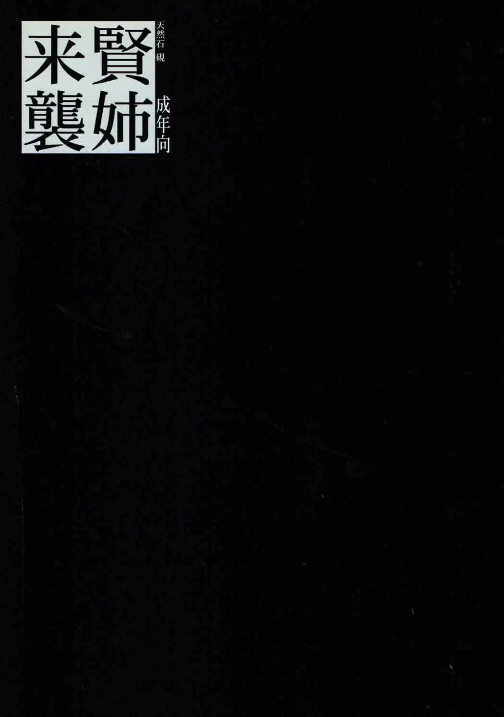 賢姉来襲 - page18