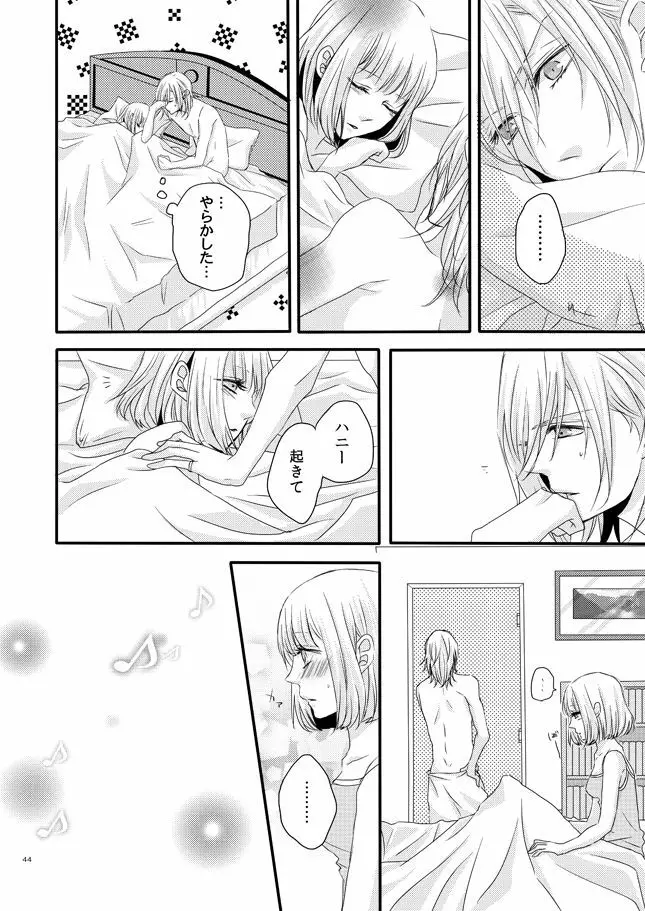 phalaenopsis - page43