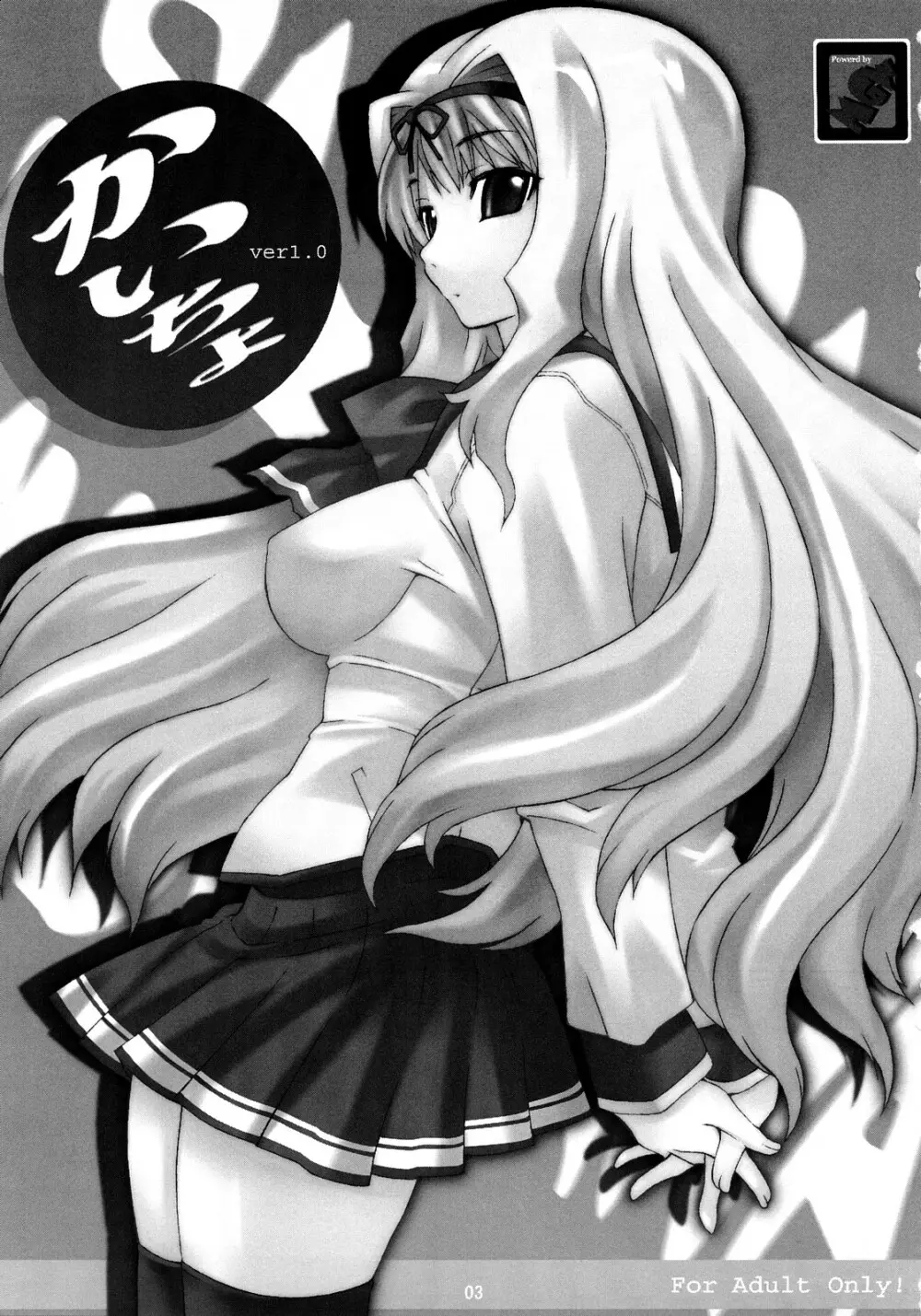かいちょ ver1.0 - page2