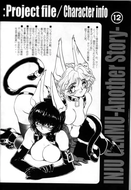 A WORKS THIRD 淫獣幻夢 Another Story Project File - page11