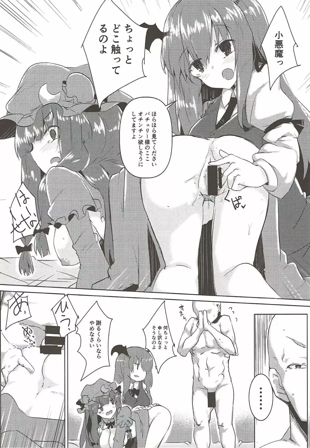 小悪魔がいちゃらぶのぱちゅりー本 - page12