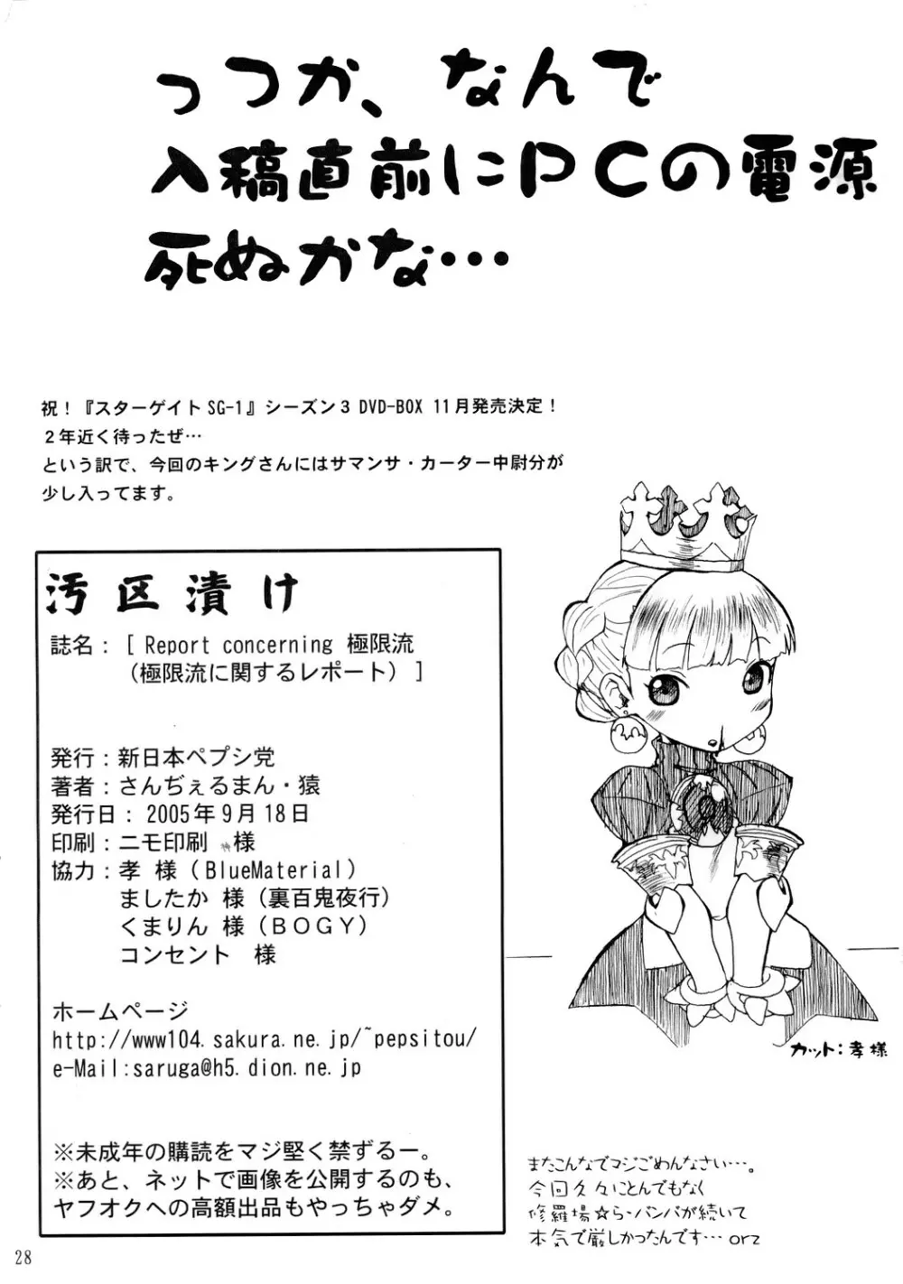 REPORT CONCERNING 極限流 - page29