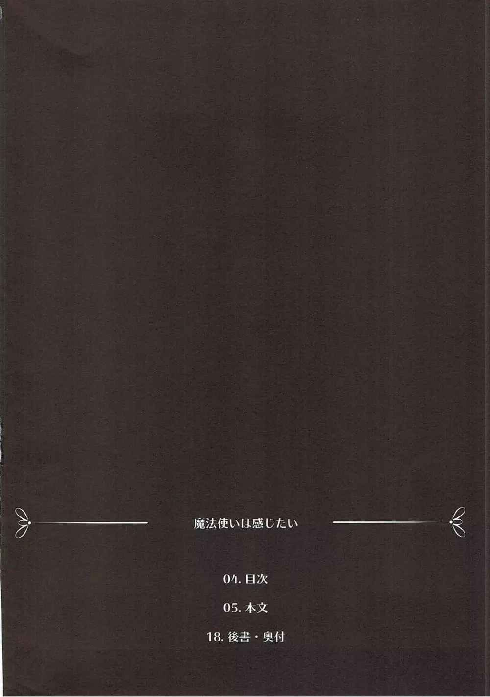 魔法使いは感じたい - page3
