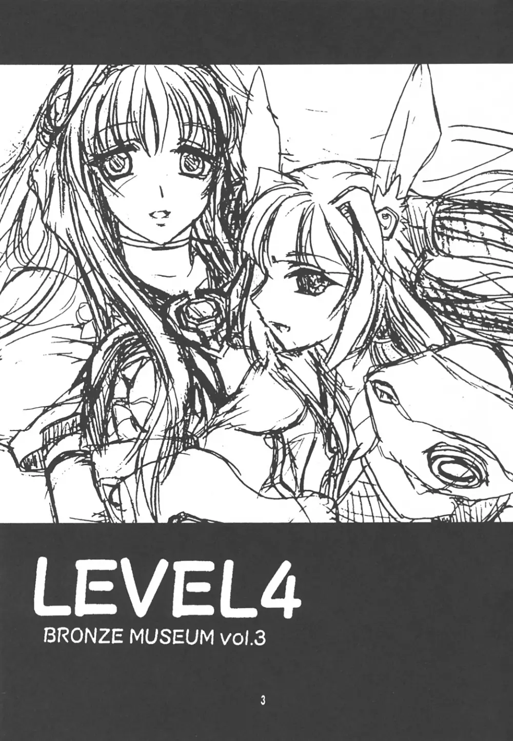 LEVEL4 - page2