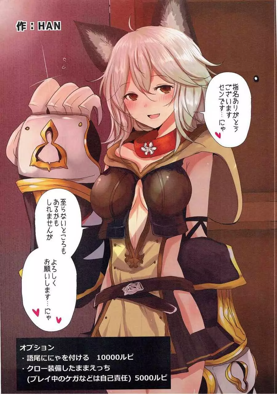 娼館船GRANCYPHER~グランサイファー~ 2号店 - page12
