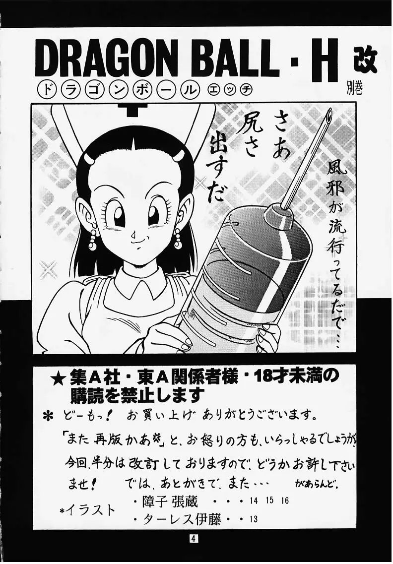 ドラゴンボールH 別巻 突発本 改訂版 - page3