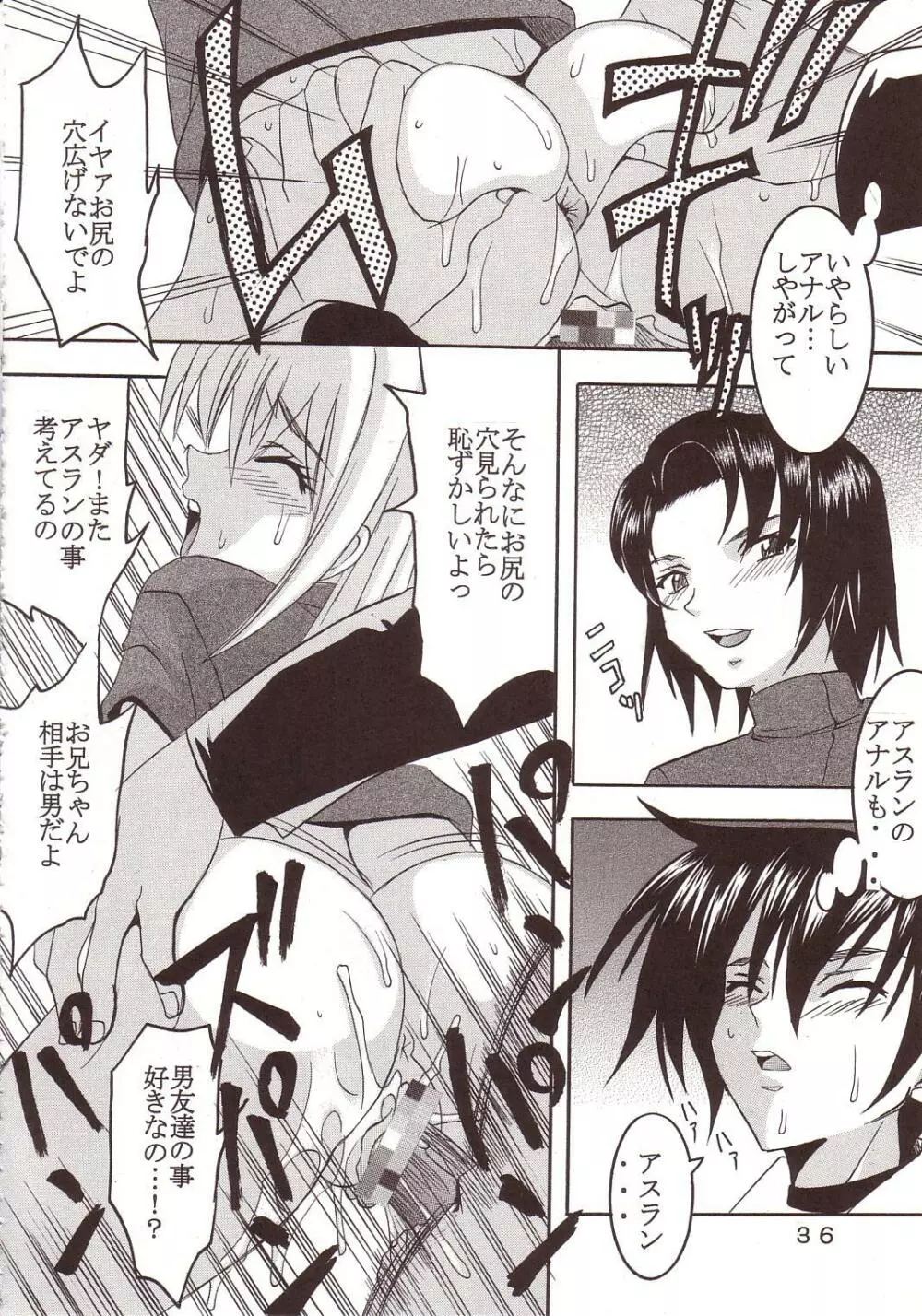 SEED 3 - page35