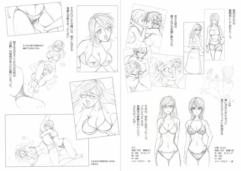 萌えレス15 飛び入りデスマッチ 小夜vsルミ ＜後編＞ - page2