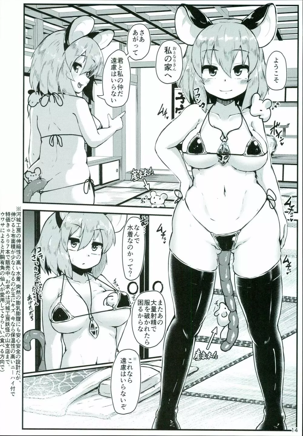 おとなりのナズーリンは繁殖期 - page14