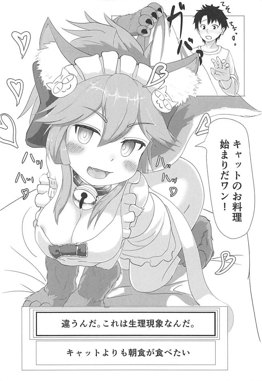 タマモキャットの猫まんま - page5