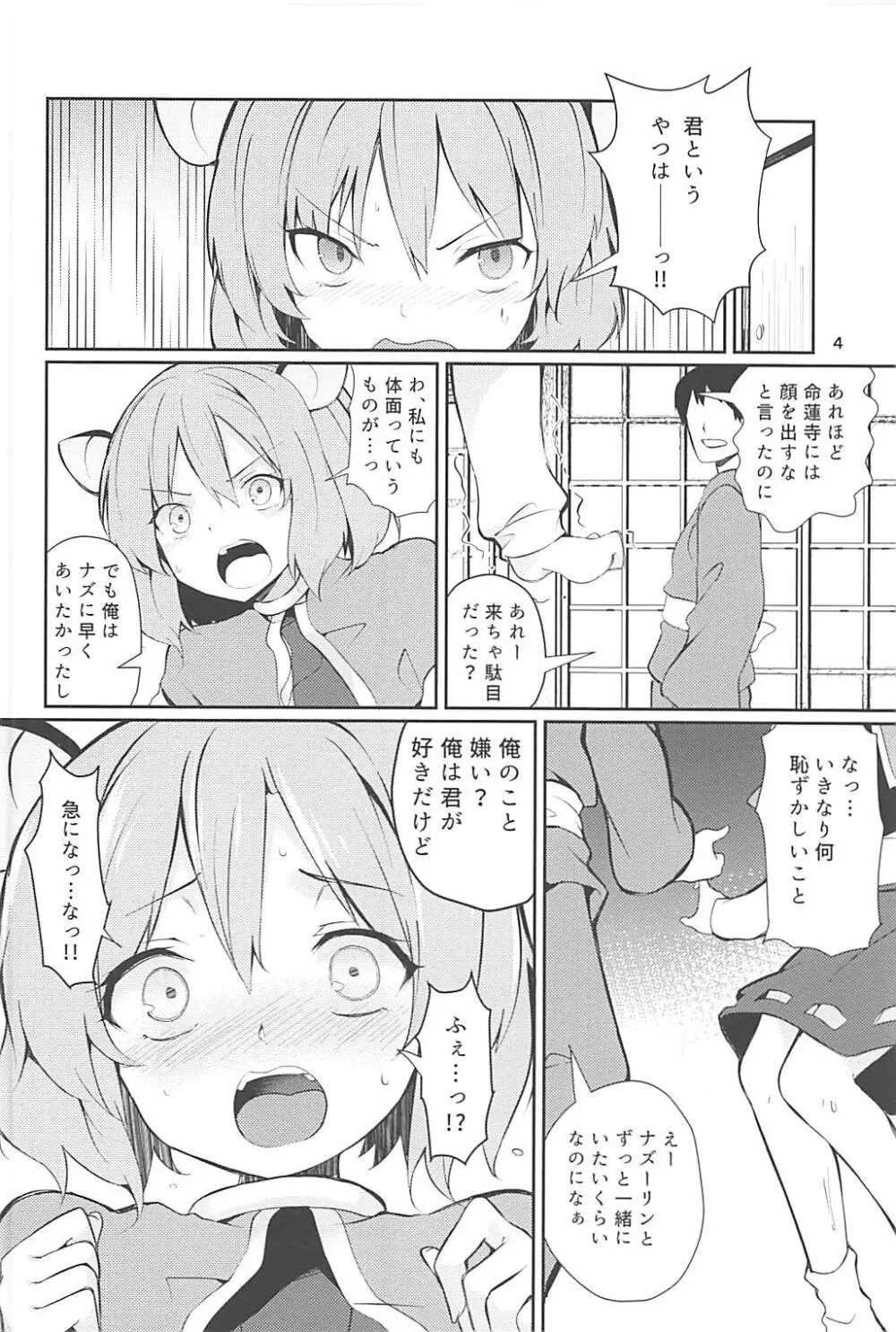 ナズーリンがかんばる本 - page3